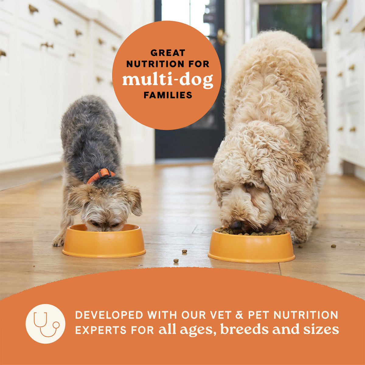 Canidae All Life Stages Multi-Protein Recipe Dry Dog Food 27 lb