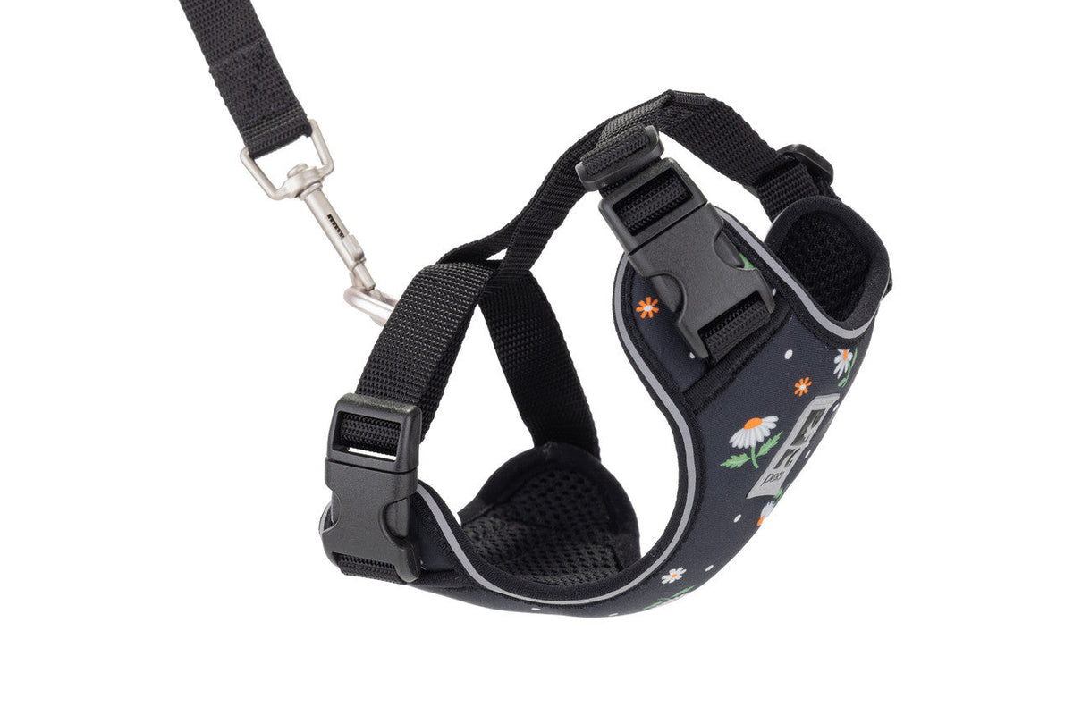 Rc Pet Products Adventure Kitty Cat Harness- Daisies