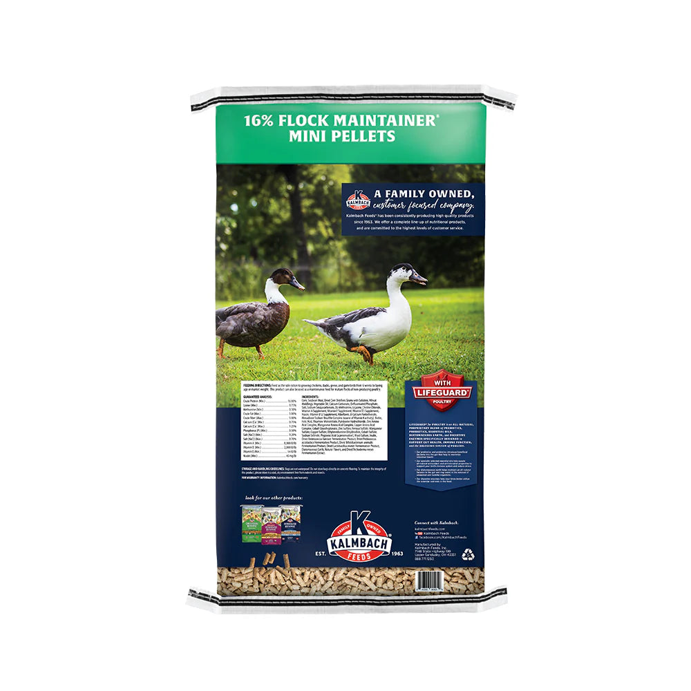 Kalmbach Feeds All Natural 16% Flock Maintainer Mini Pellets Poultry Feed 50 lb