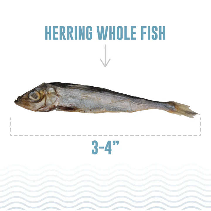 Icelandic+ Herring Whole Fish Natural Cat Treats 1.5 oz