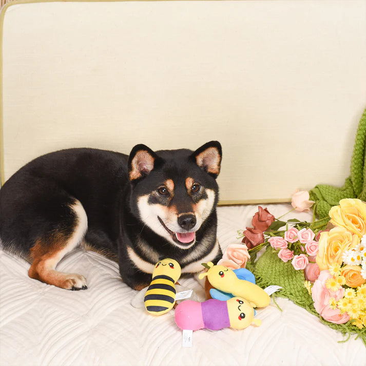 Hugsmart Spring Little Insects Plush Dog Toy Set 5.5 in, 3 pk