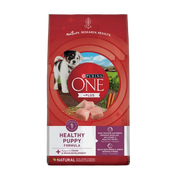 Purina ONE Plus Healthy Puppy Formula Dry Dog Food 8 lb