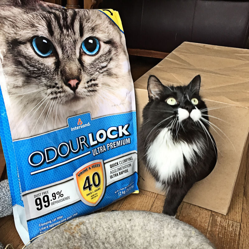 Odorlock Clumping Unscented Cat Litter