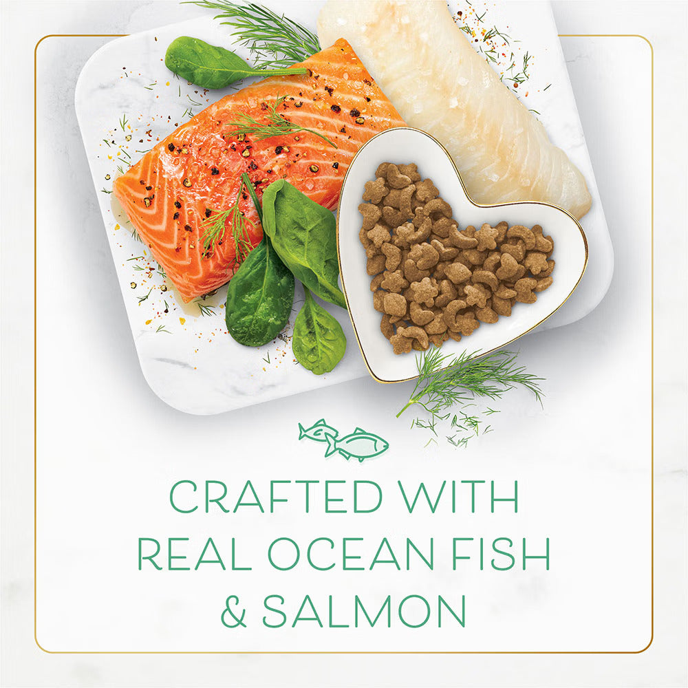 Fancy Feast Gourmet Ocean Fish, Salmon & Garden Greens Dry Cat Food 3 lb