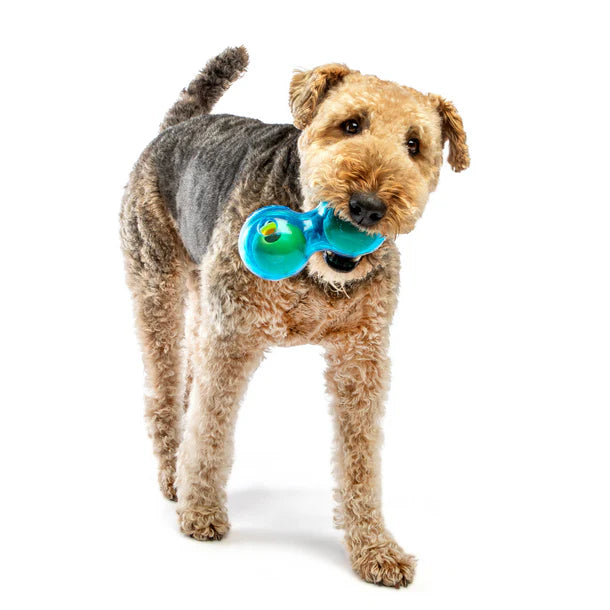 Guru Duo Ball Treat Dispensing Dog Toy