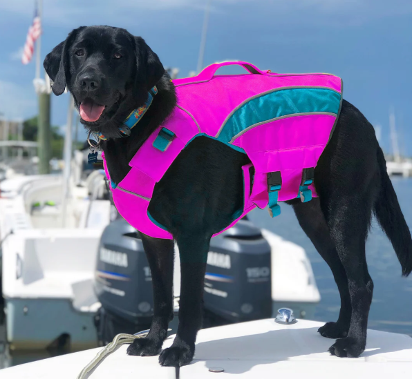 Baydog Monterey Bay Dog Life Jacket