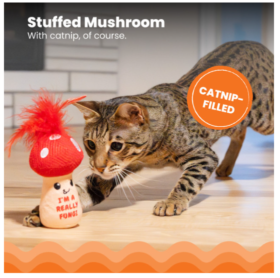 Catstages A Really Fungi Mushroom Kicker Catnip & Dental Cat Toy