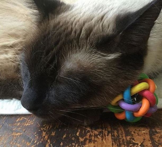 Multipet Nobbly Wobbly Rubber Ball 4 in