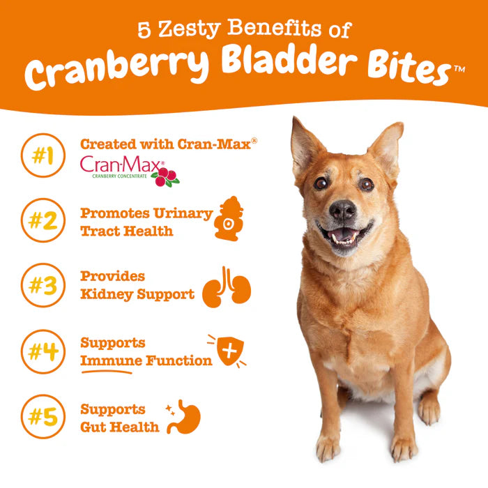 Zesty Paws Urinary Tract Bites Antioxidant Soft Chews for Dogs 90 ct