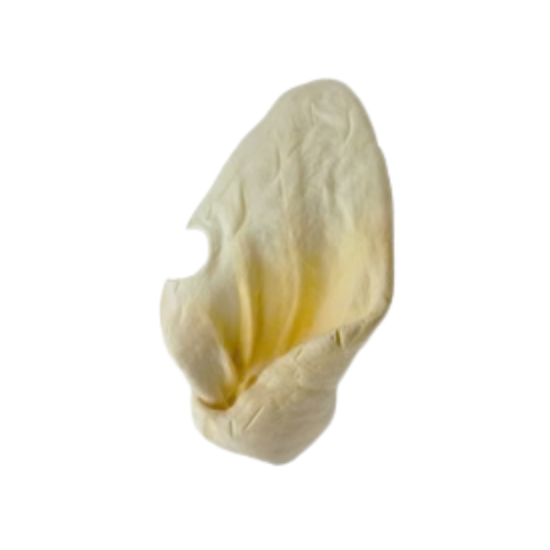 Natural Harvest Pet Prod Beef Ear Dog Treat