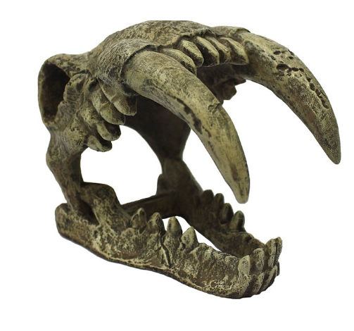 Incredipet Large Saber Tooth Skull Reptile Terrarium Ornament
