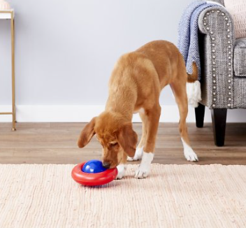 Kong Gyro Spinning Dog Toy L