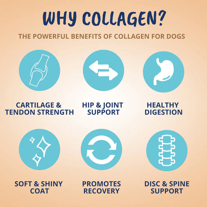 Under The Weather Collagen Soft Chews for Dogs 60 ct