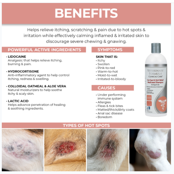 Synergy Veterinary Formula Clinical Care Hot Spot & Itch Relief Shampoo 16 oz