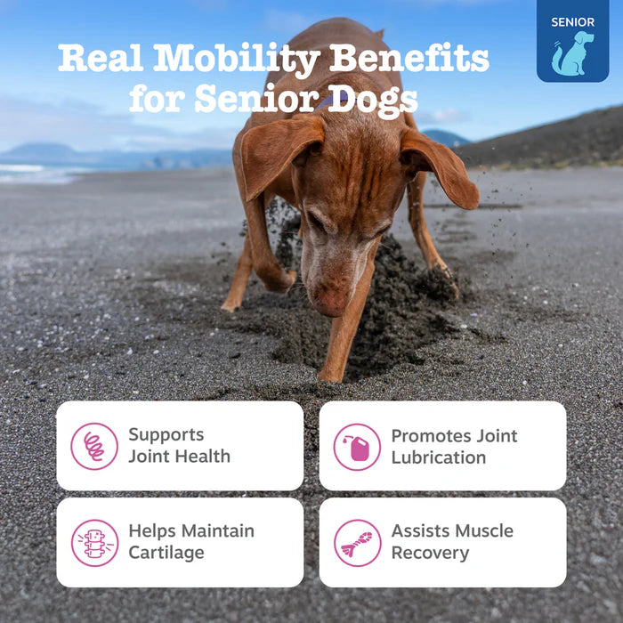 Zesty Paws Senior Advanced Hip & Joint Bites Mobility Soft Chews for Dogs 90 ct