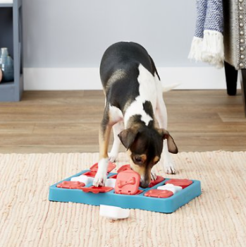 Outward Hound Brick Treat Puzzle Dog Toy
