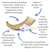 Icelandic+ Plus Large Lamb Horn Dog Chew 4 oz