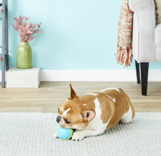 Kong Corestrength Ball Dog Toy L