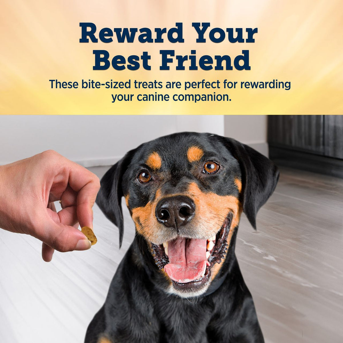 True Chews Premium Morsels Made With Real Chicken Dog Treats 11 oz