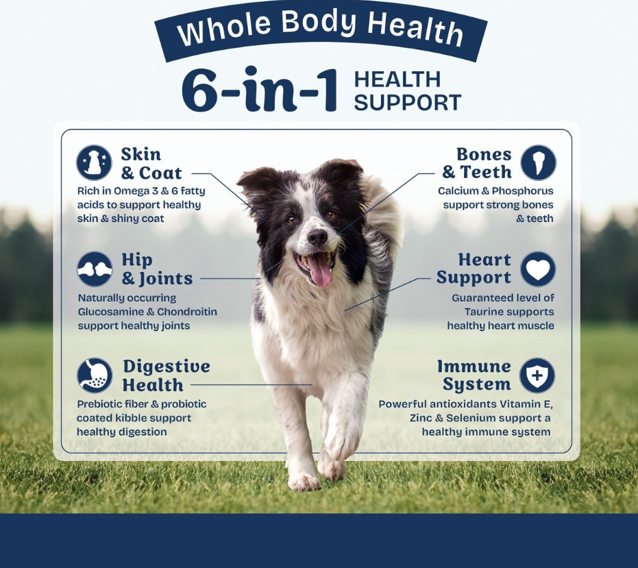 Natural Balance Health Protection Adult Chicken, Brown Rice & Pumpkin Dry Dog Food