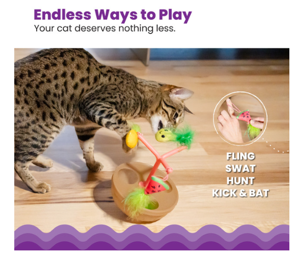 Catstages Hunt N' Wobble Fruit Bowl Wobbling Cat Toy