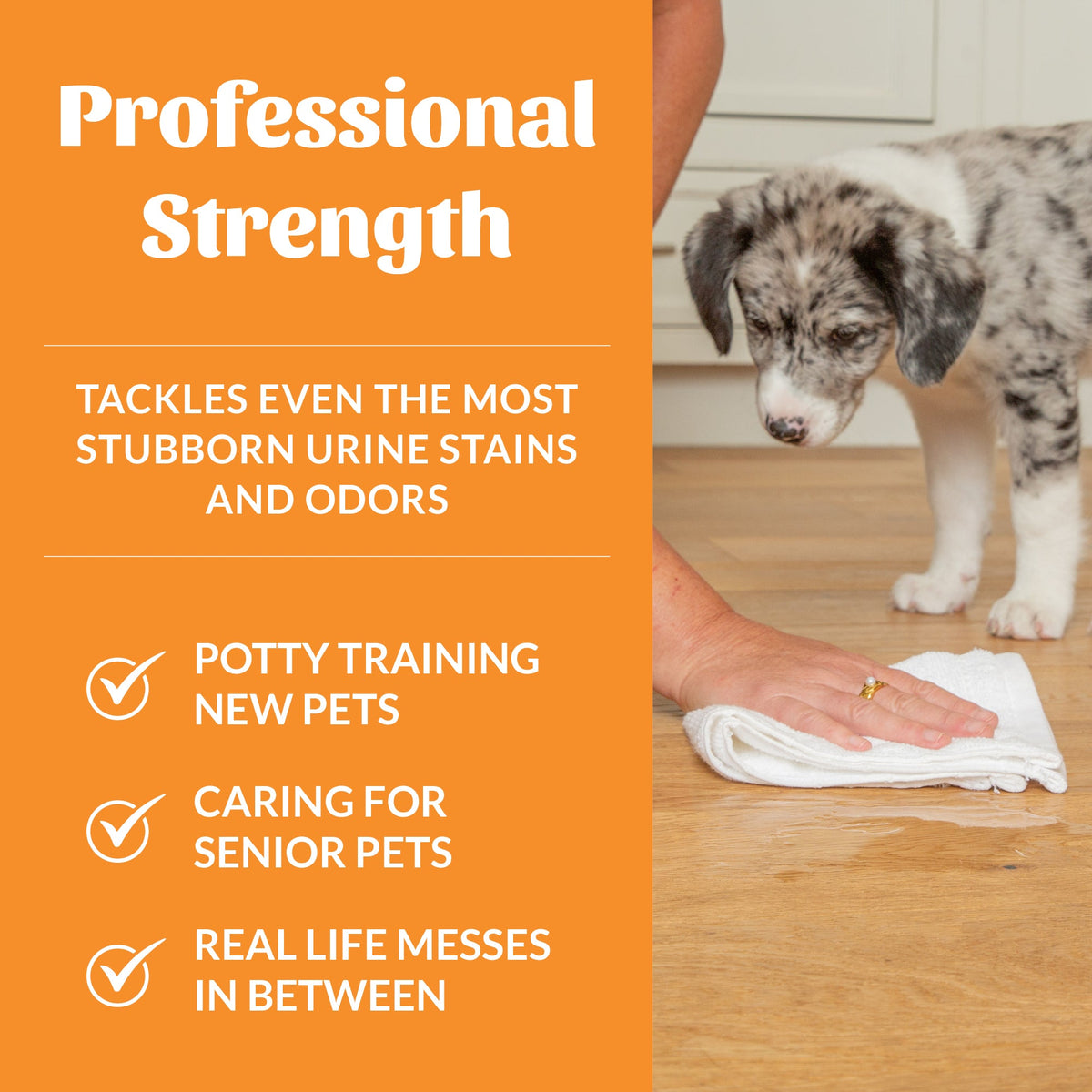 Skout's Honor Professional Strength Dog Urine Destroyer Spray 35 oz