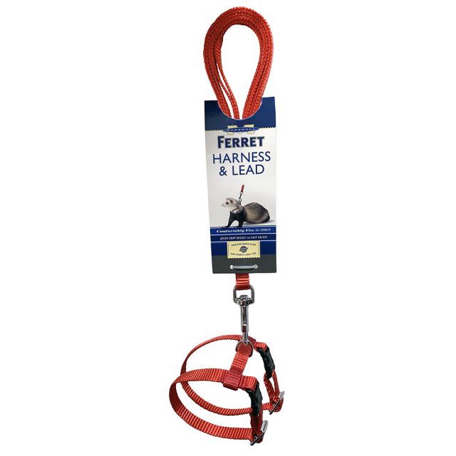 Marshall Harness And Lead Set For Ferrets
