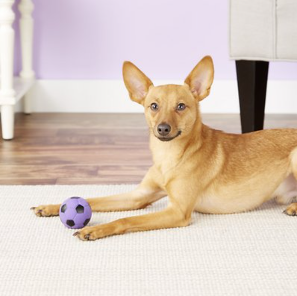 Spot Ethical Pet Latex Soccer Ball Squeaky Dog Toy 2 in