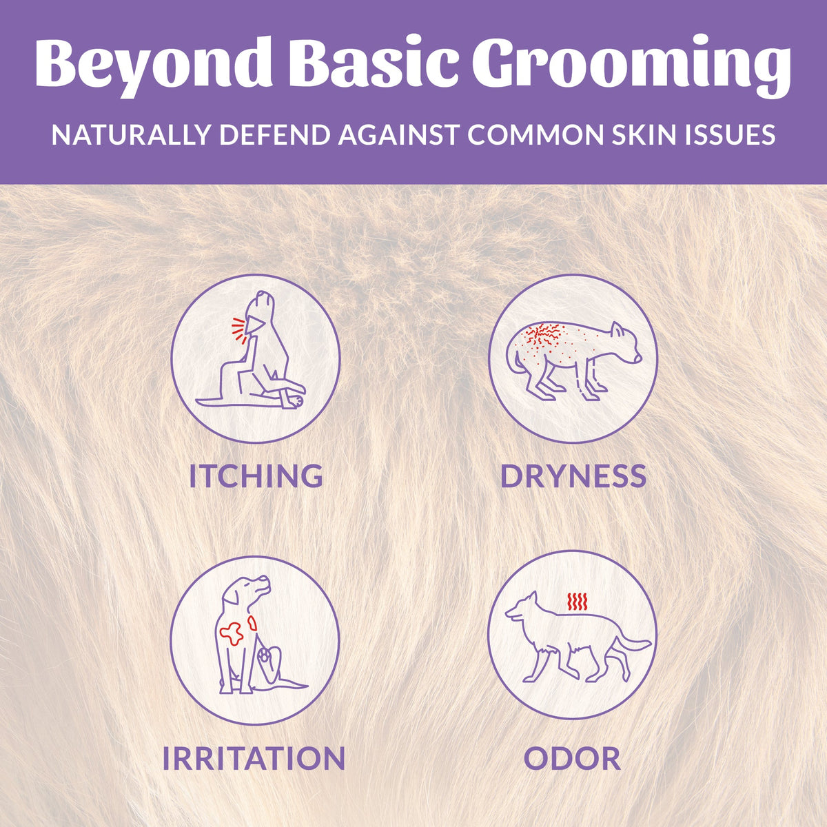 Skout's Honor Probiotic Shampoo + Conditioner Lavender Scented for Dogs & Cats 16 oz