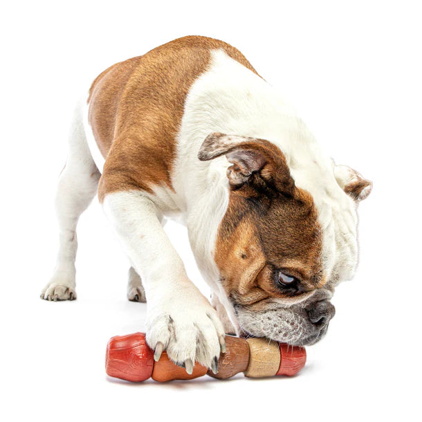 Guru Multi-Flavor Chew Stick Dog Toy