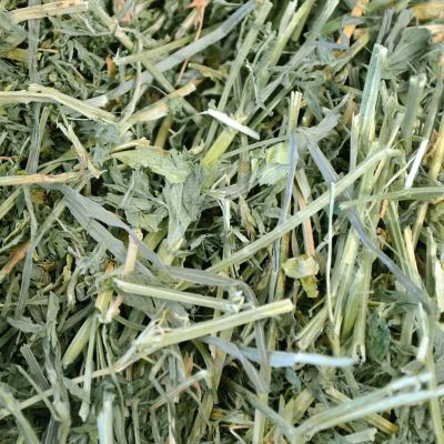 Oxbow Animal Health Alfalfa Hay 15 oz
