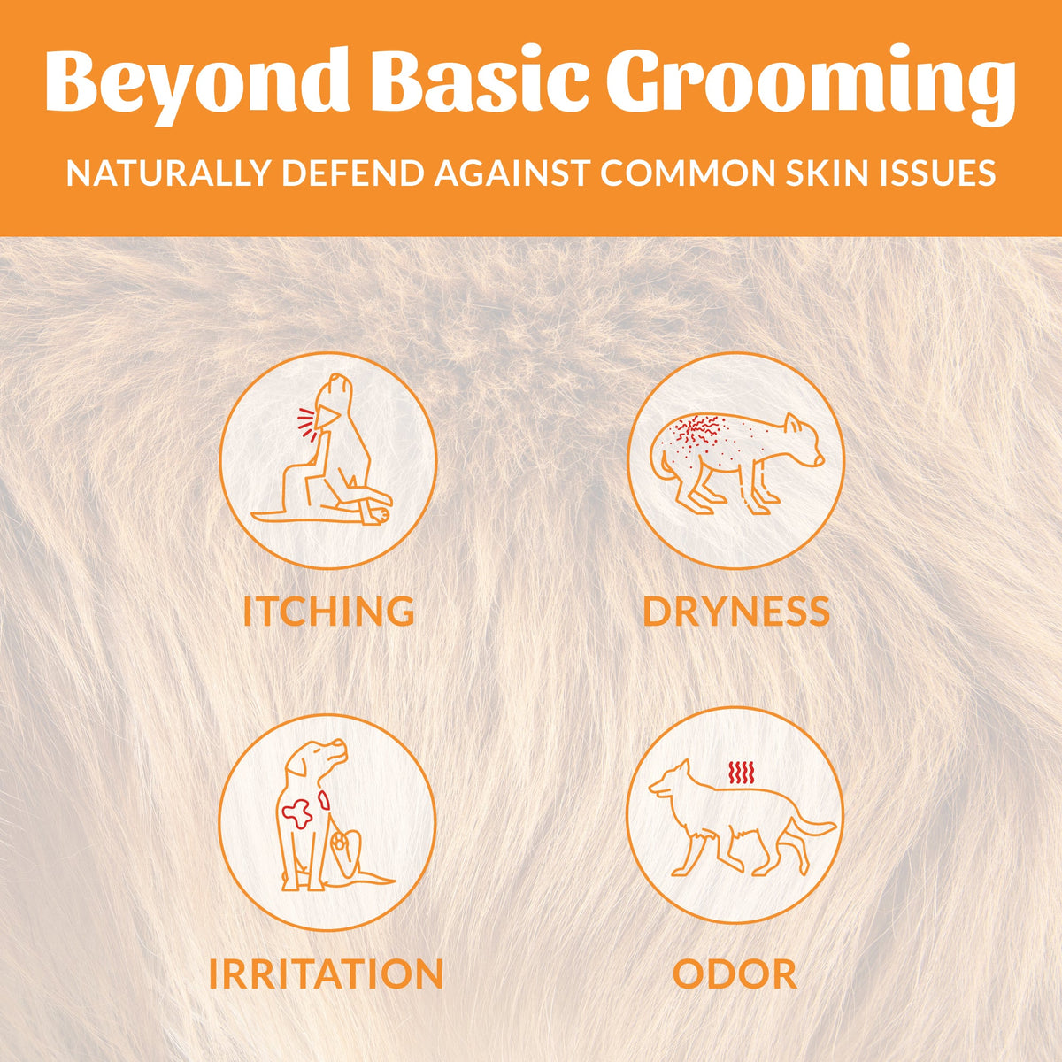 Skout's Honor Probiotic Shampoo + Conditioner Honeysuckle Scented for Dogs & Cats 16 oz