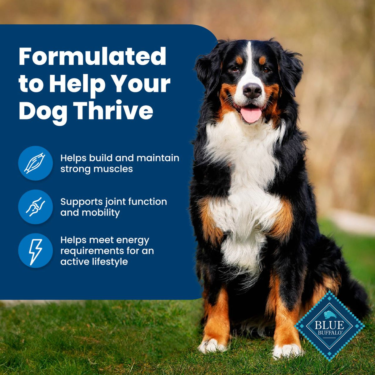 Blue Buffalo Life Protection Formula Chicken & Brown Rice Recipe Adult Dry Dog Food