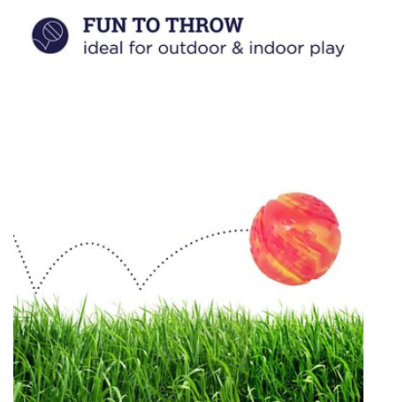 Outward Hound Grunt N' Punt Tennis Ball Dog Toy