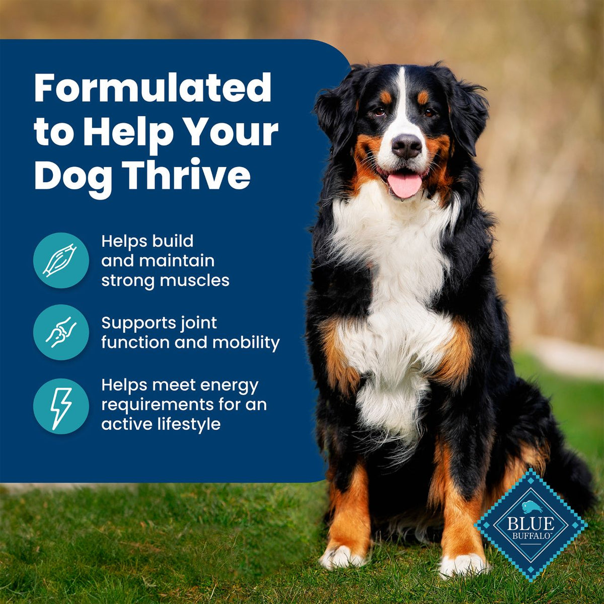 Blue Buffalo Life Protection Formula Fish & Brown Rice Recipe Adult Dry Dog Food