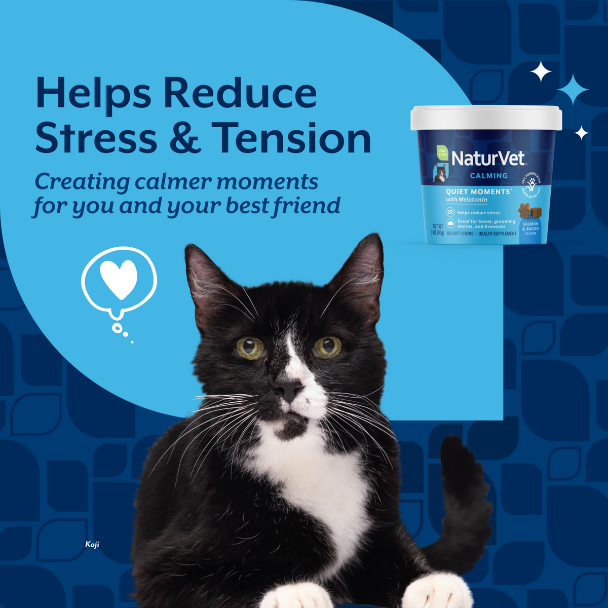 Naturvet Quiet Moments Calming Aid Plus Melatonin Cat Soft Chews 60 ct