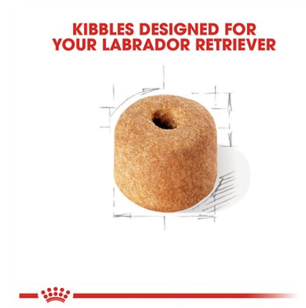Royal Canin Labrador Retriever Adult Dry Dog Food 30 lb
