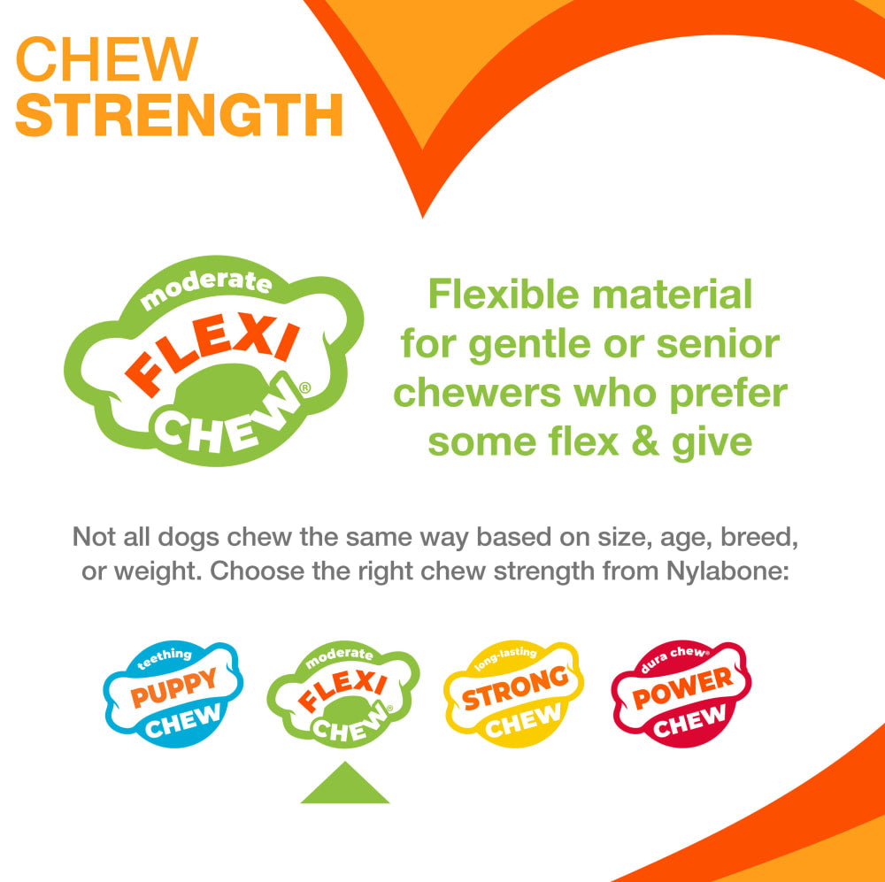 Nylabone Flexi Chew Gumabone Original Bone Chew Toy up to 25 lbs