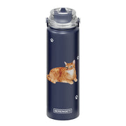 E & S Imports Serengeti Orange Tabby Water Bottle