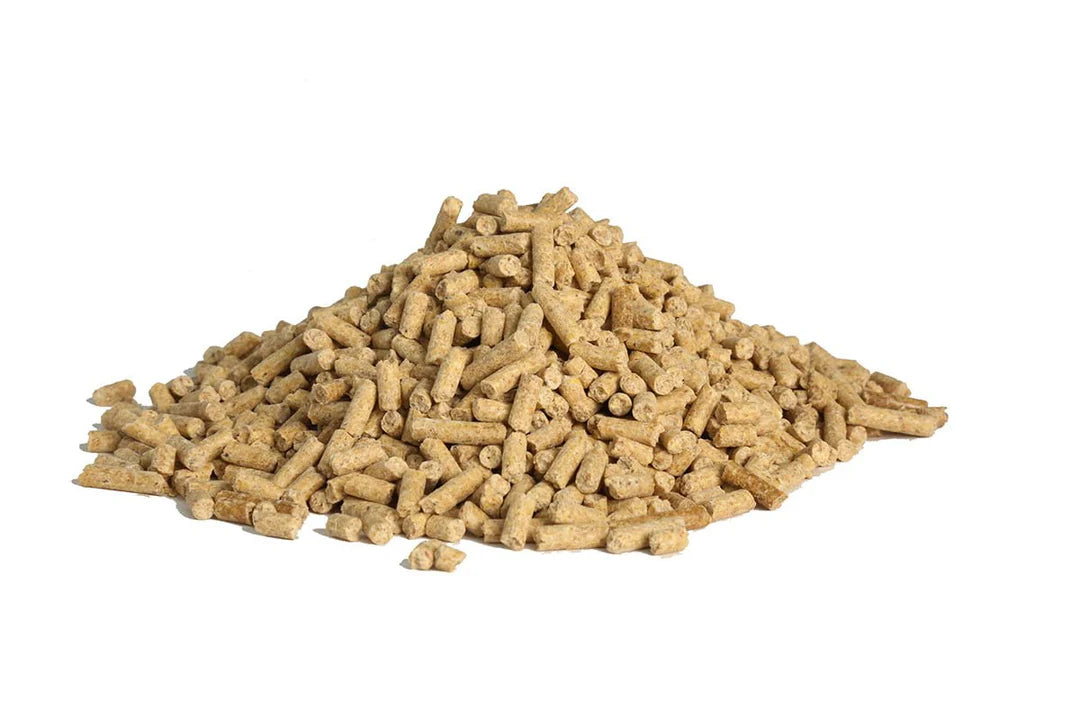 Kalmbach Feeds All Natural 16% Flock Maintainer Mini Pellets Poultry Feed 50 lb