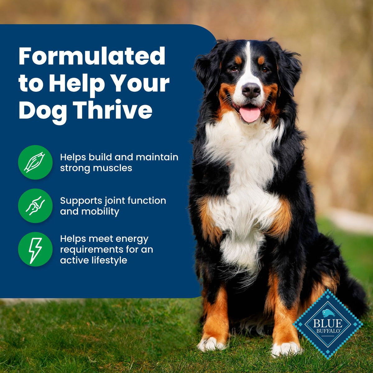 Blue Buffalo Life Protection Formula Lamb & Brown Rice Recipe Adult Dry Dog Food