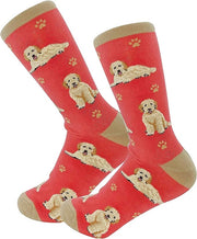 E & S Imports Pet Lover Socks Peach Goldendoodle Dog, Unisex, One Size Fits Most