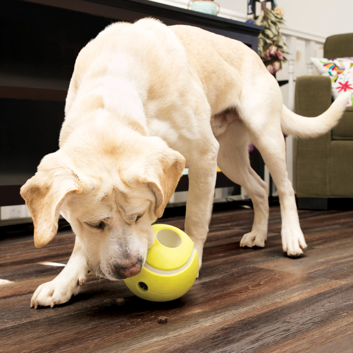 Kong Rewards Tennis Ball Treat Dispensing Dog Toy L
