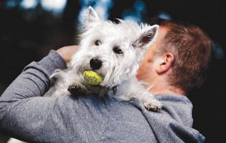 Kong Airdog Squeaker Ball Dog Toy