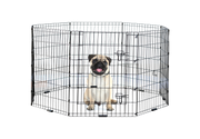 Incredipet Exercise Pen