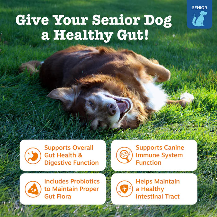 Zesty Paws Senior Advanced Probiotic Gut Health Soft Chews for Dogs 90 ct