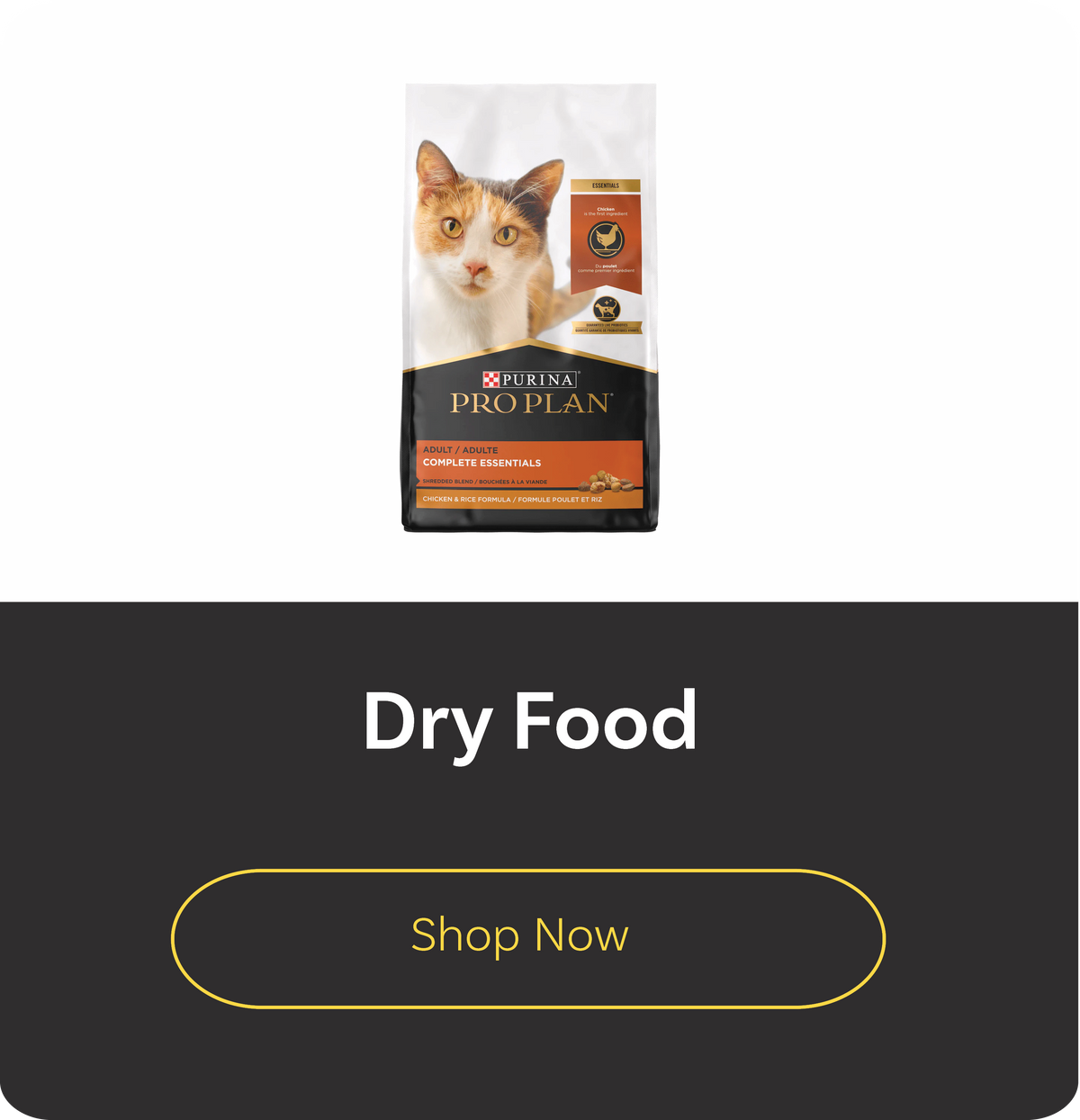 Cat Food Dry Food