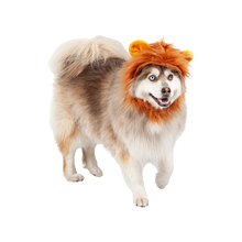 Silverpaw Lion Head Piece Halloween Pet Costume