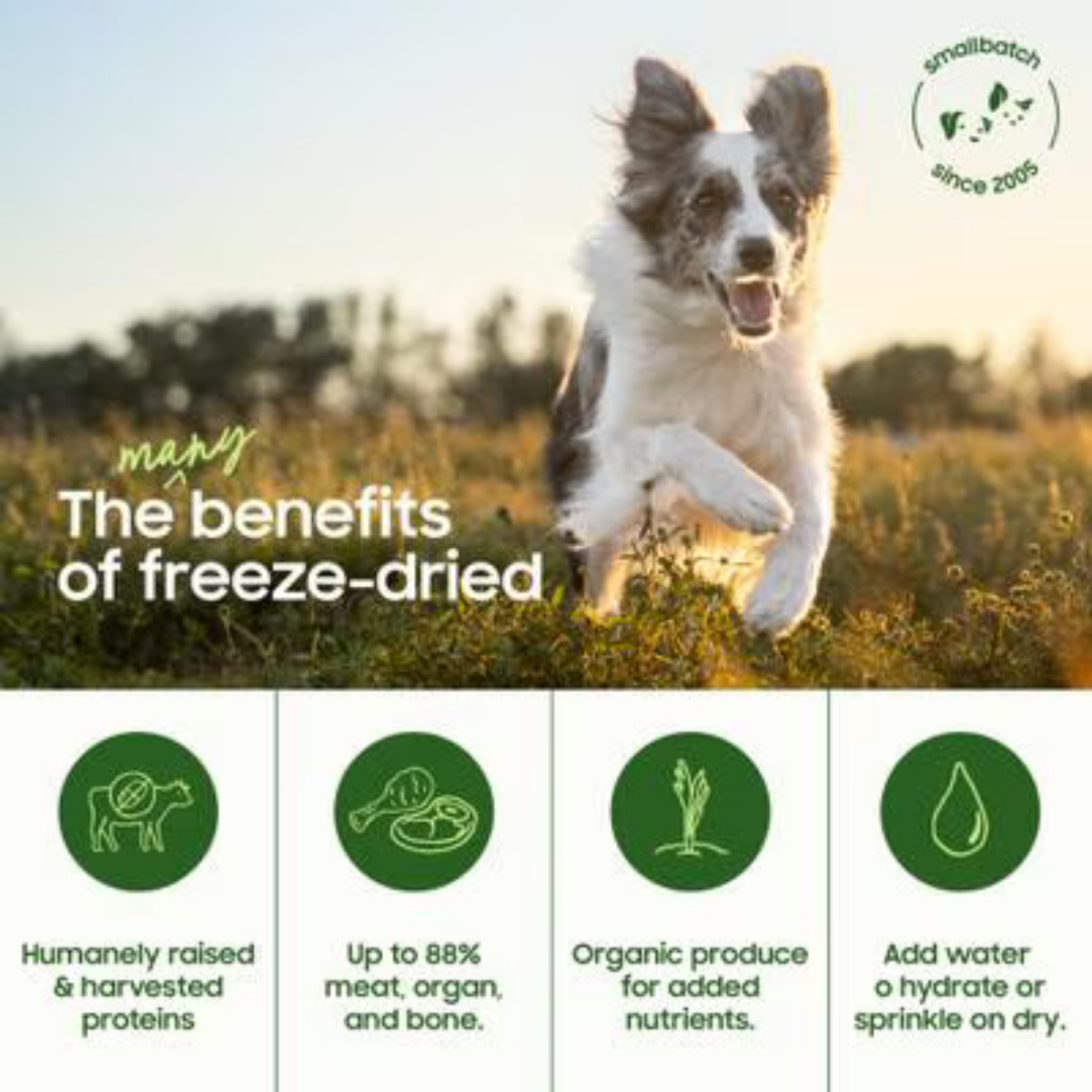 Smallbatch Pet Food Freeze-Dried Lamb Small Bites Dog Food 7 oz