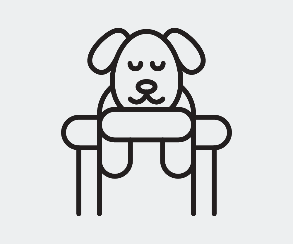 <strong>Canine Massage</strong>